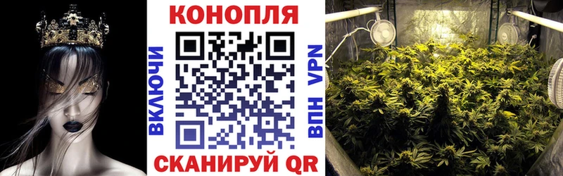 Бошки Шишки гибрид  Арамиль 